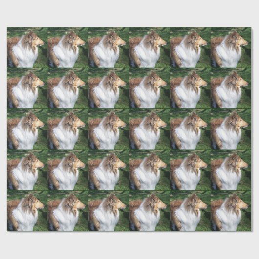 Rough Sable Collie Wrapping Paper Geschenkpapier (Flach)