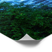 Roughlock Falls Spearfish Canyon Poster (Ecke)