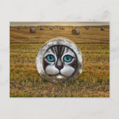 Round Bale Art Ranchers Bauern Hay Field Graffiti Postkarte (Vorderseite)