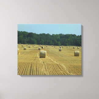 Round Bales Leinwanddruck