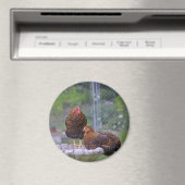 Round Chicken Magnet (In Situ (Geschirrspüler))