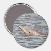 Round Dolphin Magnet (Vorderseite/Rückseite)