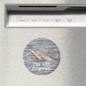 Round Dolphin Magnet (In Situ (Geschirrspüler))