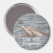 Round Dolphin Magnet (Vorderseite/Rückseite)