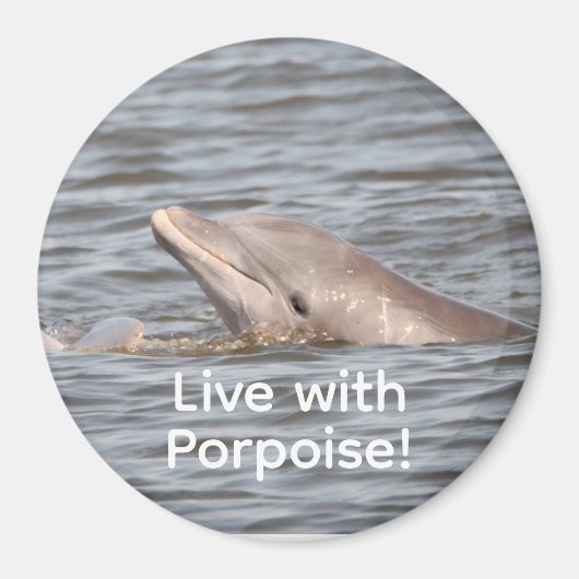 Round Dolphin Magnet (Vorne)