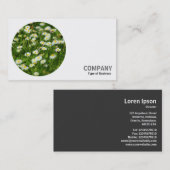 Round Foto - Daisies Visitenkarte (Vorne/Hinten)