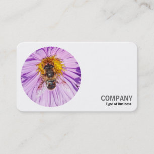 Round Foto - Honey Bee on a Michaelmas Daisy Visitenkarte