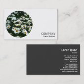 Round Foto - Shasta Daisies Visitenkarte (Vorne/Hinten)