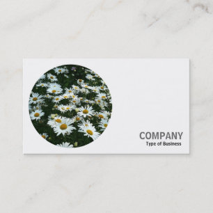 Round Foto - Shasta Daisies Visitenkarte