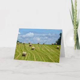 Round Hay Bales on Hill - I Karte