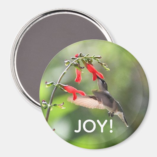 Round Hummingbird Magnet (Vorderseite/Rückseite)