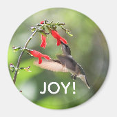 Round Hummingbird Magnet (Vorne)