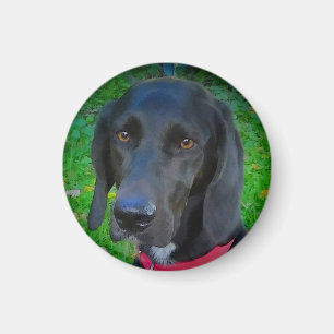 ROUND KÜHLSCHRANK MAGNET, BLACK LAB, GIFTS, PETS MAGNET