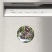 Round Magnet (In Situ (Geschirrspüler))