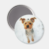 Round Magnet (Vorderseite/Rückseite)