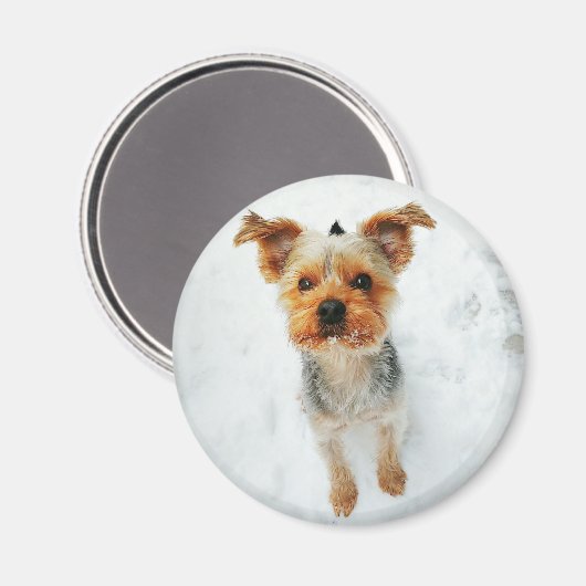 Round Magnet (Vorderseite/Rückseite)