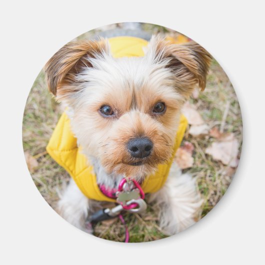 Round Magnet (Vorne)