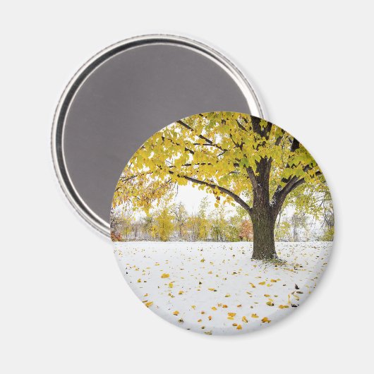 Round Magnet (Vorderseite/Rückseite)