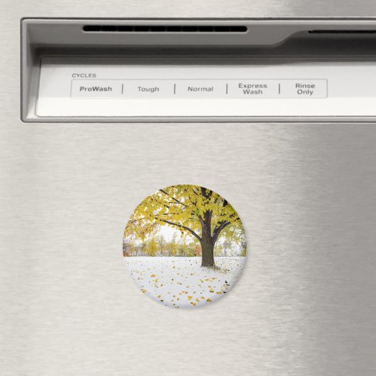 Round Magnet (In Situ (Geschirrspüler))