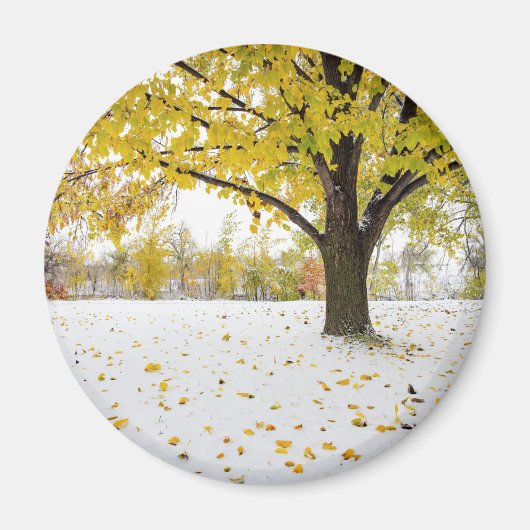 Round Magnet (Vorne)