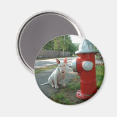 Round Magnet (Vorderseite/Rückseite)