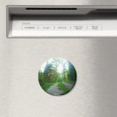 Round Magnet (In Situ (Geschirrspüler))