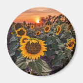 Round Magnet (Vorne)