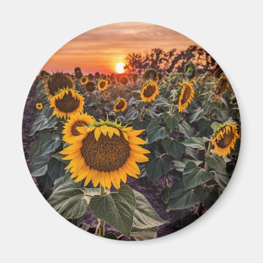 Round Magnet (Vorne)