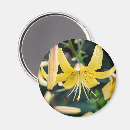 Round Magnet (Vorderseite/Rückseite)