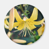 Round Magnet (Vorne)