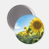 Round Magnet (Vorderseite/Rückseite)