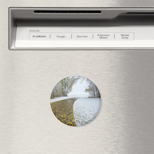 Round Magnet (In Situ (Geschirrspüler))