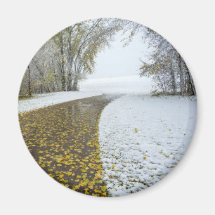 Round Magnet
