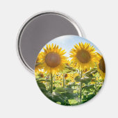 Round Magnet (Vorderseite/Rückseite)