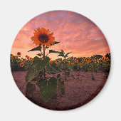 Round Magnet (Vorne)