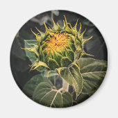 Round Magnet (Vorne)