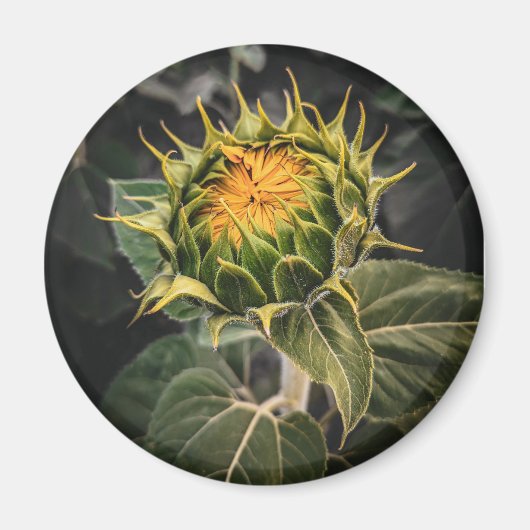 Round Magnet (Vorne)