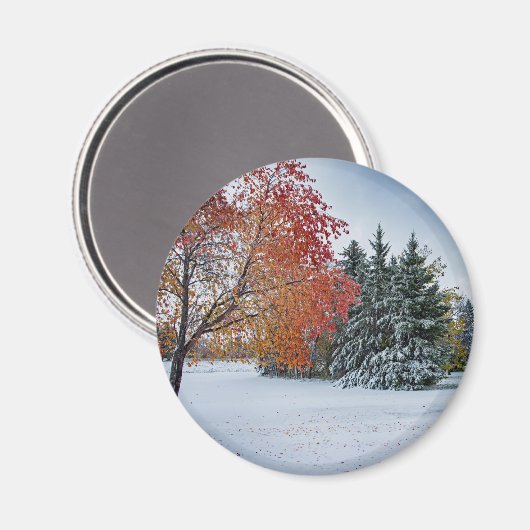 Round Magnet (Vorderseite/Rückseite)