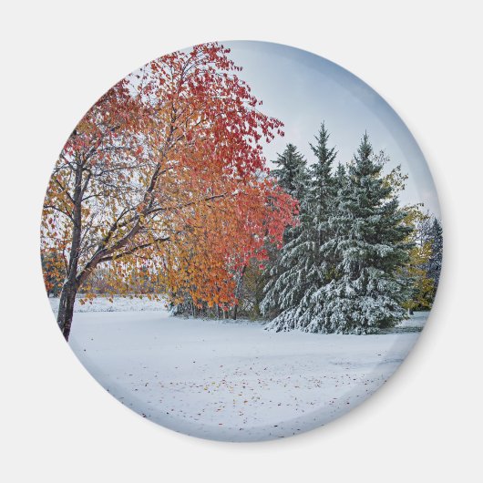 Round Magnet (Vorne)