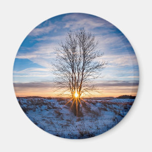 Round Magnet