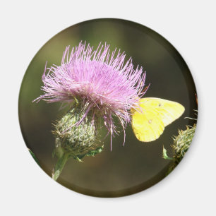 Round Magnet