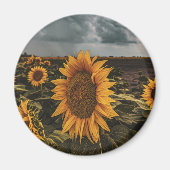 Round Magnet (Vorne)