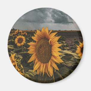 Round Magnet