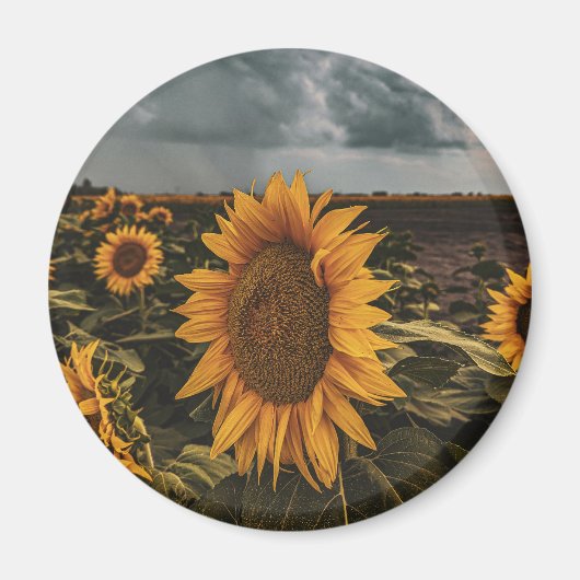 Round Magnet (Vorne)