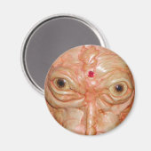 Round Magnet, "Brown Demon Eyes" Magnet (Vorderseite/Rückseite)