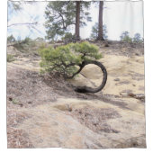 Round Tree Cuba Mesa, New Mexico Duschvorhang (Vorderseite)