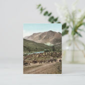 Round Up (Colorado, 1898) Postkarte (Stehend Vorderseite)