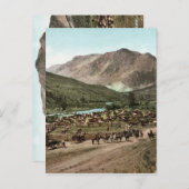 Round Up (Colorado, 1898) Postkarte (Vorne/Hinten)