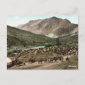 Round Up (Colorado, 1898) Postkarte (Rückseite)