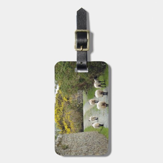 Roundstone Hauptverkehrszeit Gepäckanhänger (Vorderseite vertikal)